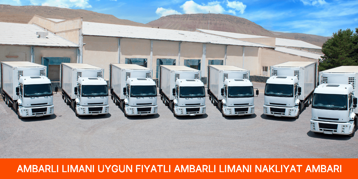 Uygun Fiyatlı Ambarlı Limanı Nakliyat Ambarı